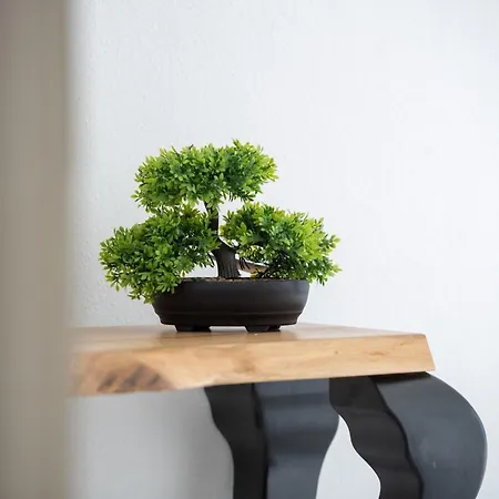 Zen Mastrinka