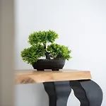 Zen Mastrinka