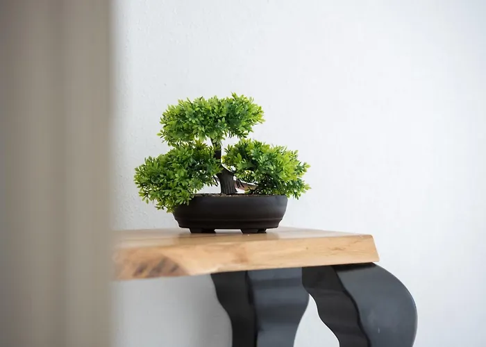 Zen Mastrinka